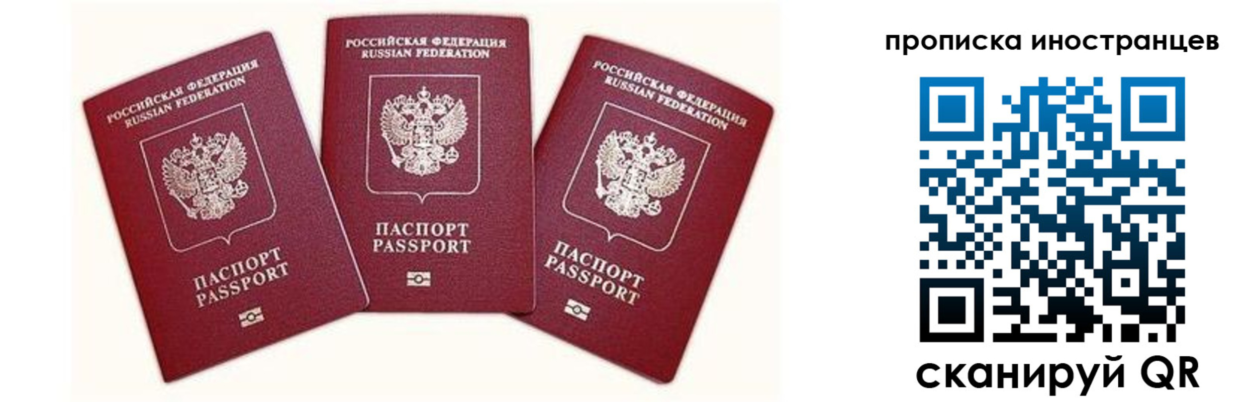прописка в Сельцо