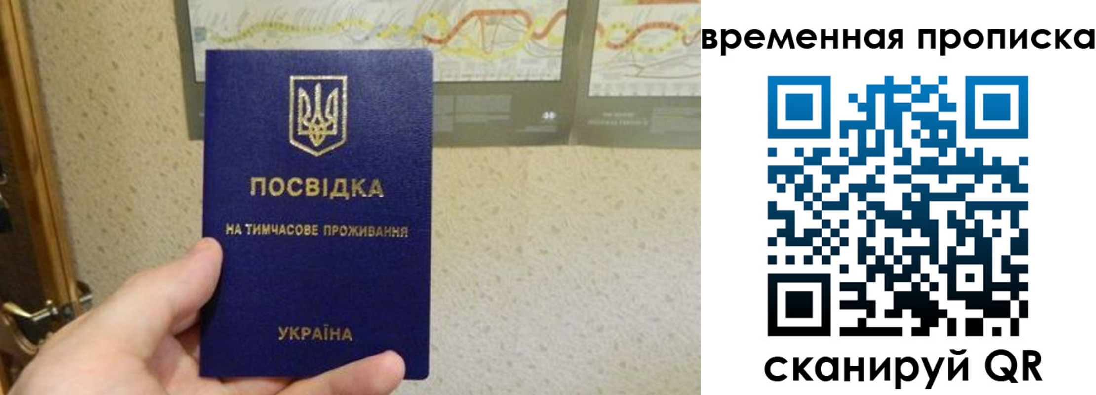 прописка для кредита в Сельцо